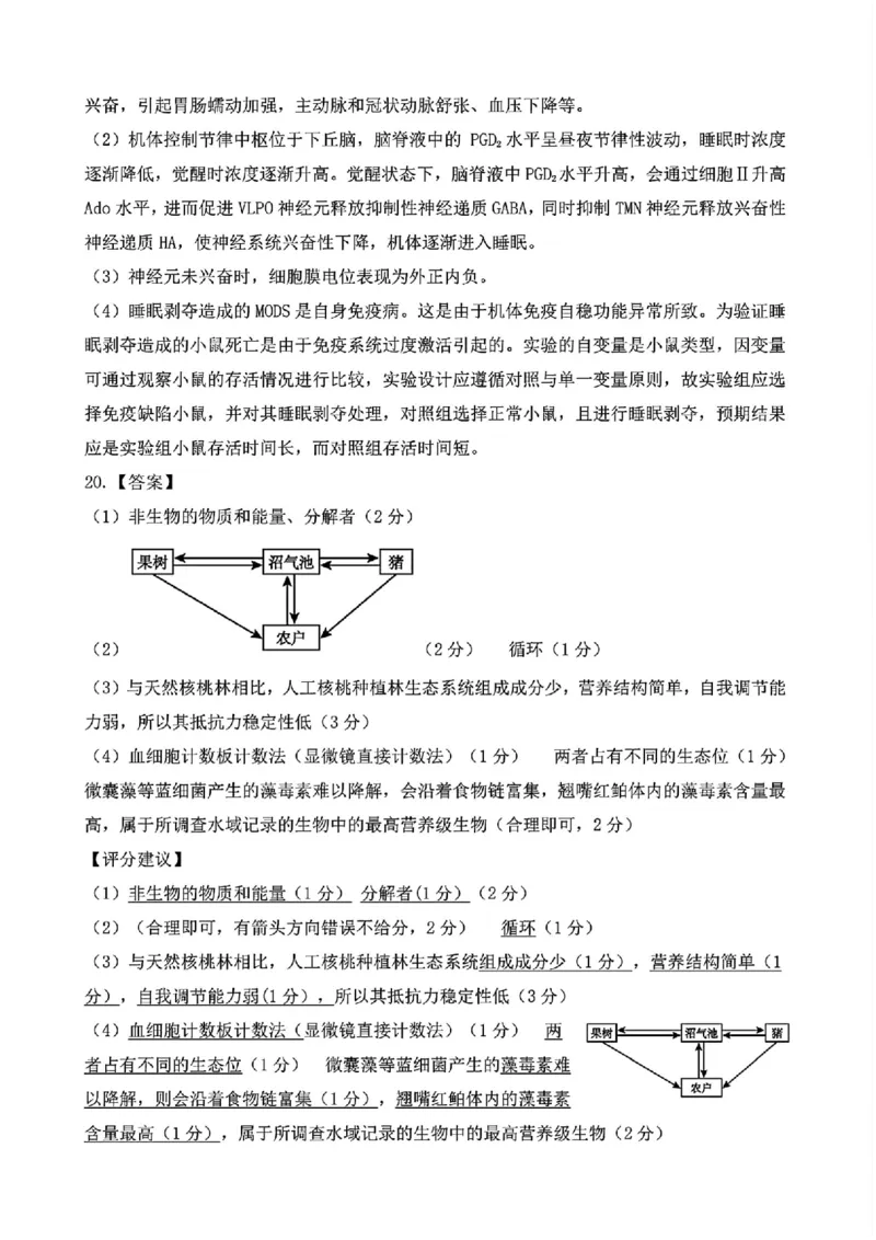 生物答案_2025年4月_250419江西省赣州市十八县（市、区）二十五校2025届高三下学期期中联考（江西4月质检）（全科）