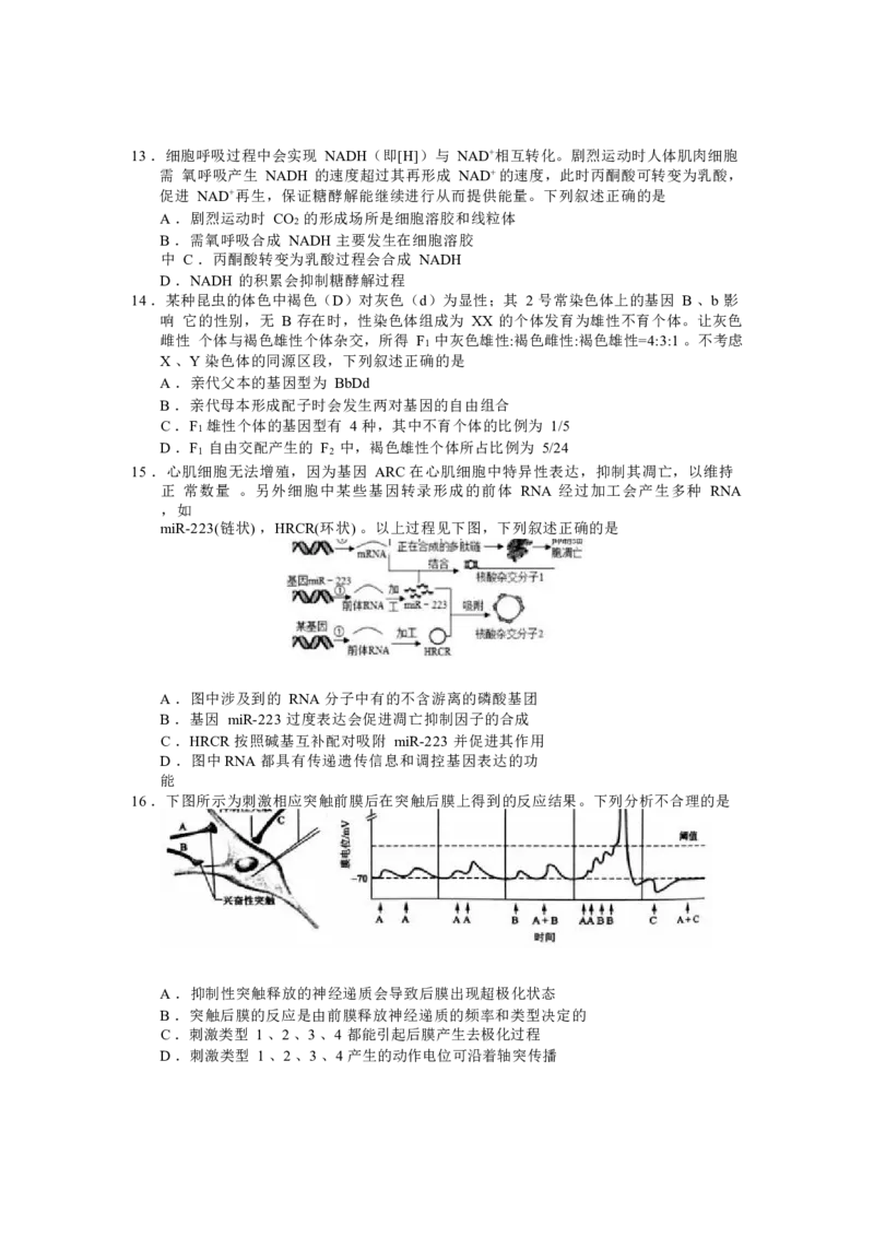 生物试卷_2025年1月_250117浙江省金丽衢十二校2024-2025学年高三上学期第一次联考（全科）_浙江省金丽衢十二校2024-2025学年高三上学期第一次联考生物Word版含答案