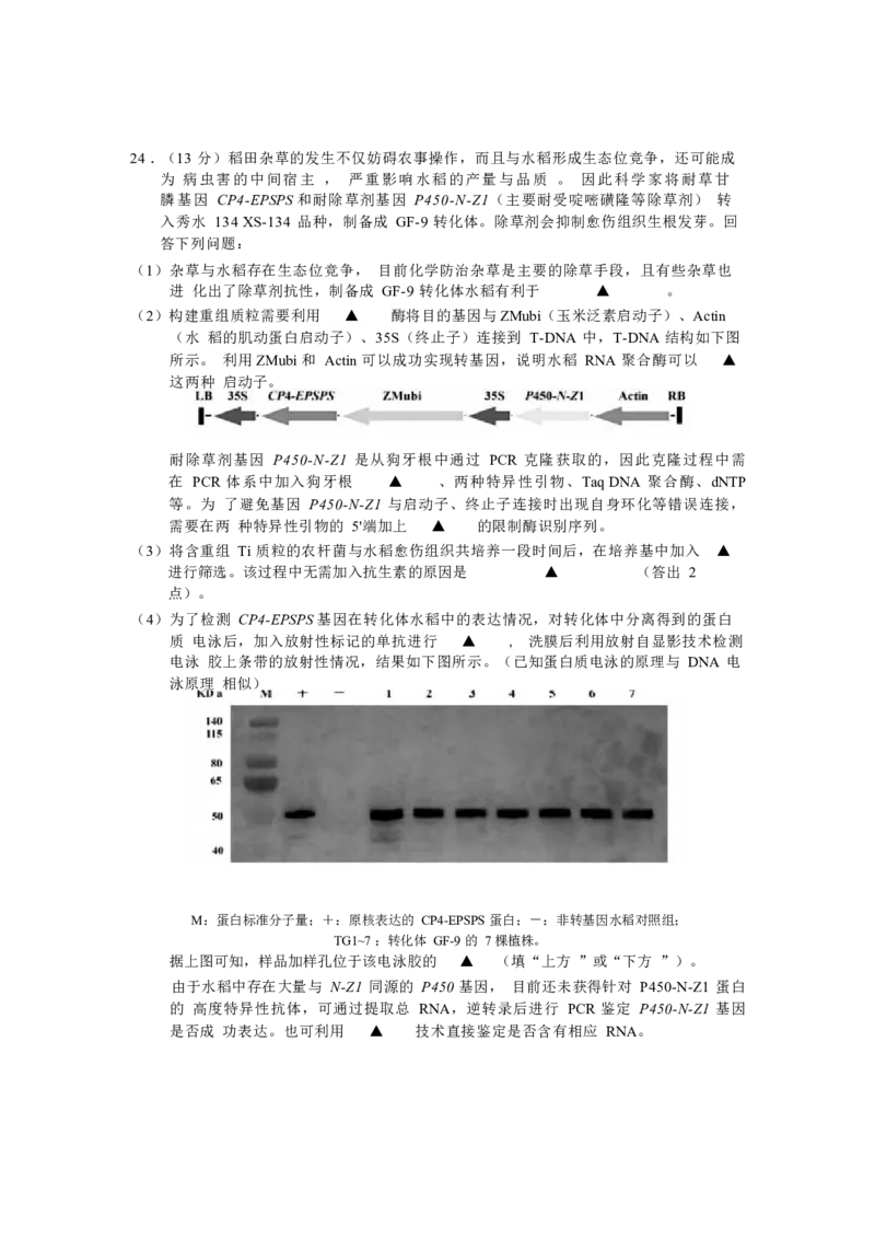 生物试卷_2025年1月_250117浙江省金丽衢十二校2024-2025学年高三上学期第一次联考（全科）_浙江省金丽衢十二校2024-2025学年高三上学期第一次联考生物Word版含答案