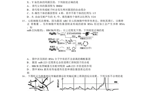 生物试卷_2025年1月_250117浙江省金丽衢十二校2024-2025学年高三上学期第一次联考（全科）_浙江省金丽衢十二校2024-2025学年高三上学期第一次联考生物Word版含答案