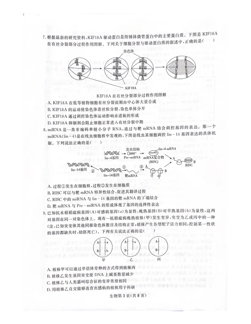 四川省2025届高三第一次教学质量联合测评_2025年2月_2502192025届四川省高三下学期第一次教学质量联合测评（全科）_2025届四川省高三下学期第一次教学质量联合测评生物