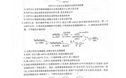 四川省2025届高三第一次教学质量联合测评_2025年2月_2502192025届四川省高三下学期第一次教学质量联合测评（全科）_2025届四川省高三下学期第一次教学质量联合测评生物