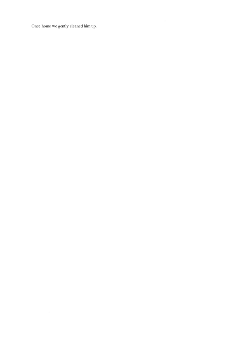 英语试题_2025年2月_250222江苏省苏州九校2024-2025学年高三下学期2月联考_江苏省苏州市九校2024-2025学年高三下学期2月联考考英语