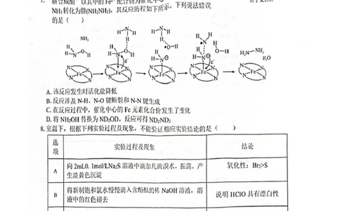 广西&ldquo;贵百河&rdquo;联盟2026届高三8月摸底考模拟预测化学试题_2025年8月_250822广西省&ldquo;贵百河一南宁二中、武鸣高中&rdquo;2026届8月高三摸底考试（全科）