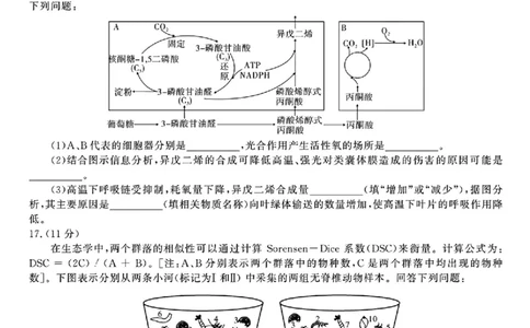 安徽省皖江名校联盟2025届高三最后一卷生物试题（含答案）_2025年5月_250519安徽省皖江名校联盟2025届高三最后一卷（全科）