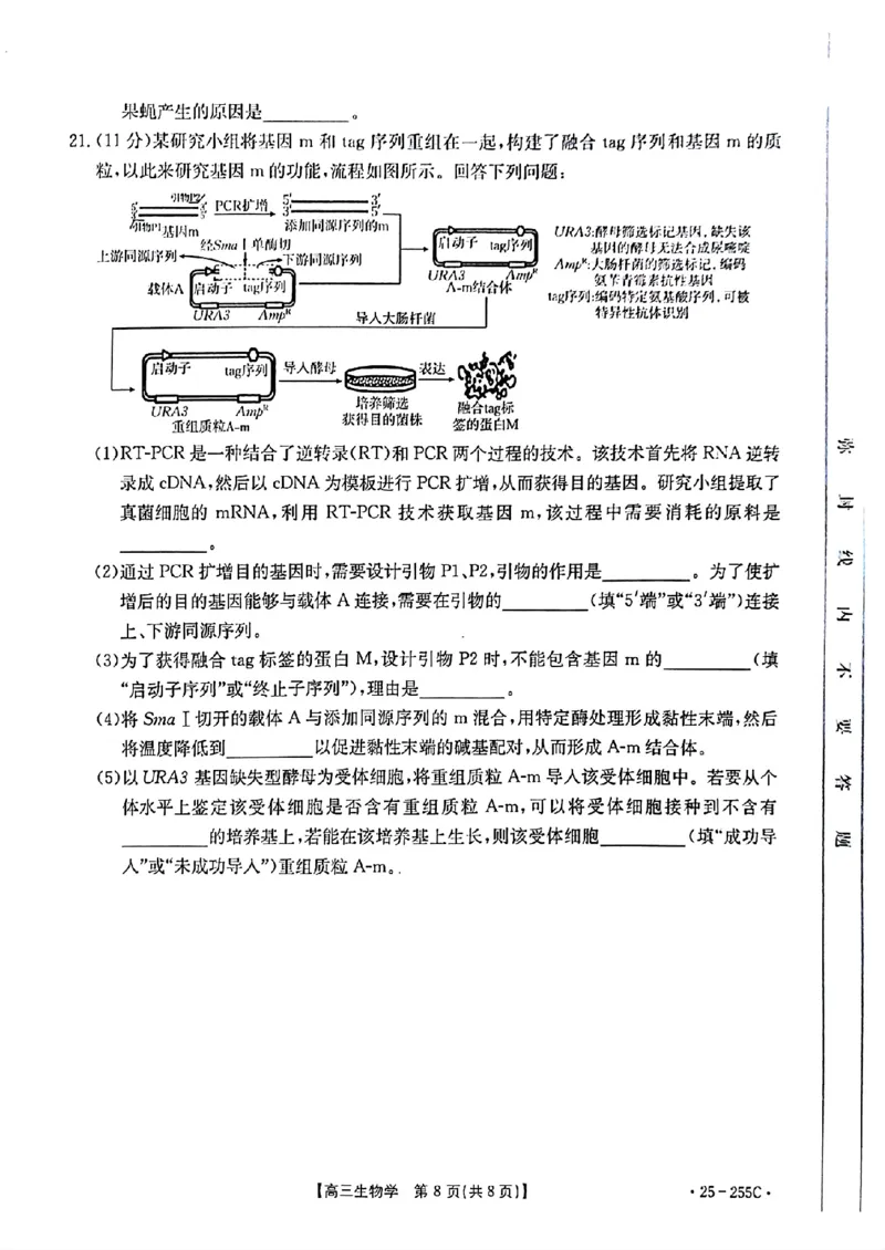 生物_2025年1月_250114甘肃省金太阳2025届高三1月联考（全科）_甘肃省金太阳2025届高三1月联考生物