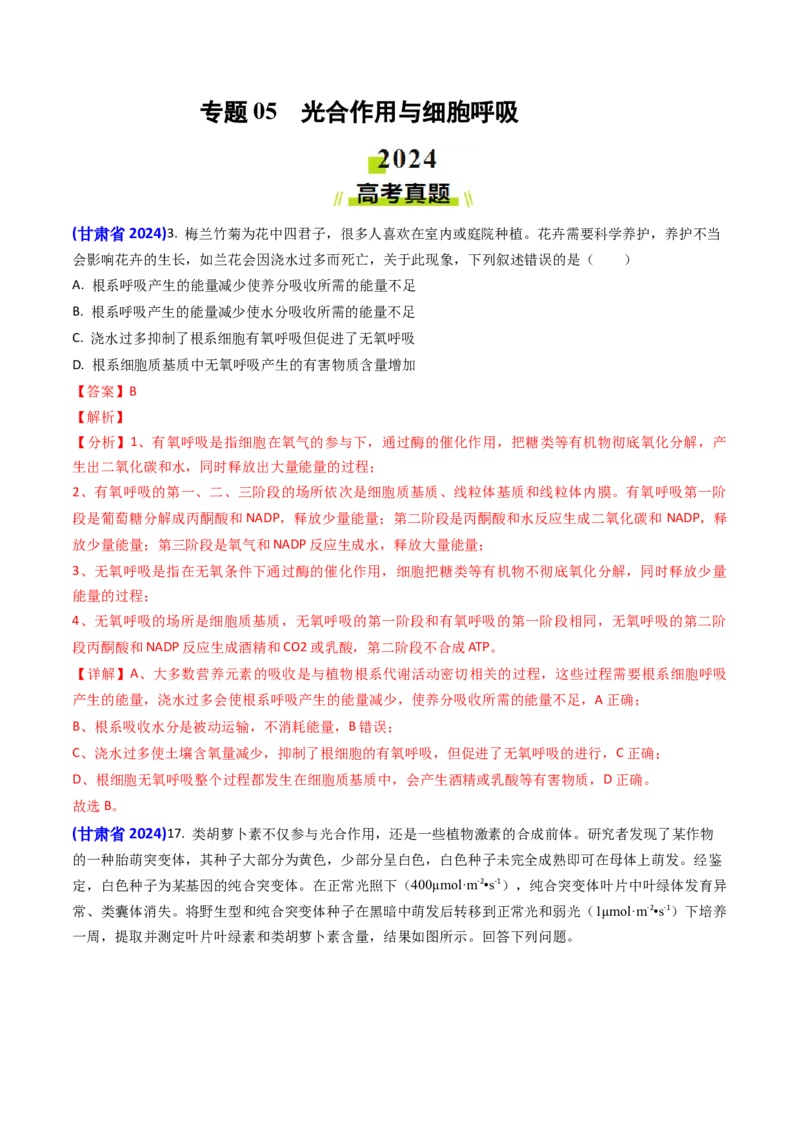 专题05光合作用与细胞呼吸-2024年高考真题和模拟题生物分类汇编（教师卷）_近10年高考真题汇编（必刷）_十年（2014-2024）高考生物真题分项汇编（全国通用）