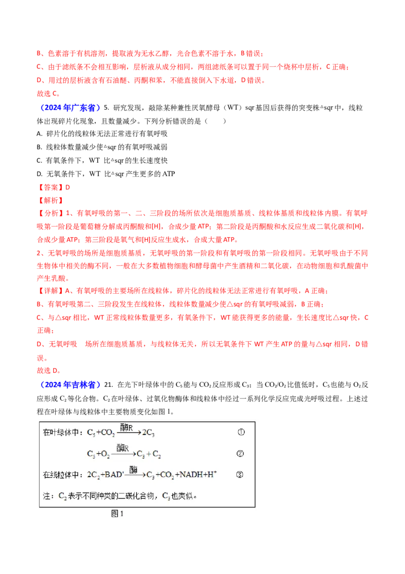 专题05光合作用与细胞呼吸-2024年高考真题和模拟题生物分类汇编（教师卷）_近10年高考真题汇编（必刷）_十年（2014-2024）高考生物真题分项汇编（全国通用）