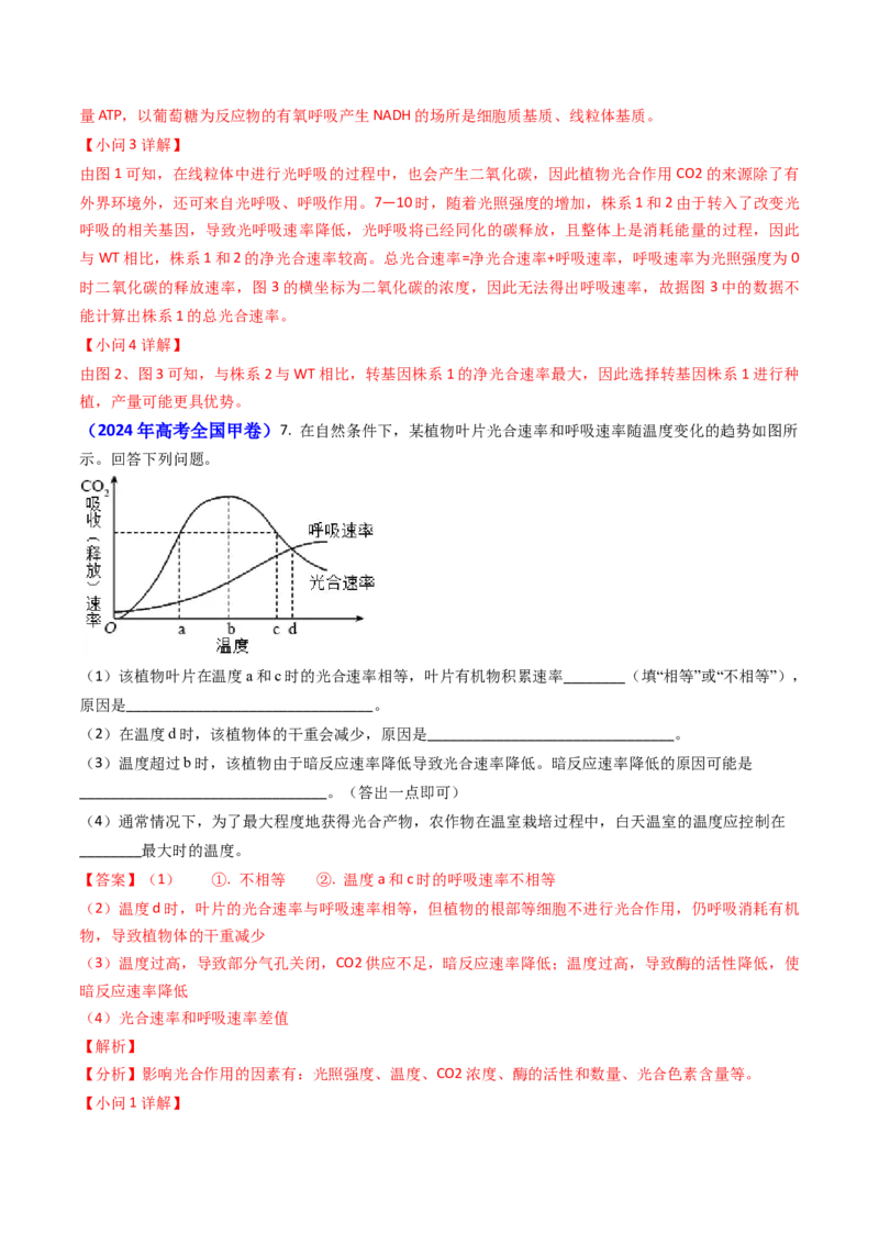 专题05光合作用与细胞呼吸-2024年高考真题和模拟题生物分类汇编（教师卷）_近10年高考真题汇编（必刷）_十年（2014-2024）高考生物真题分项汇编（全国通用）
