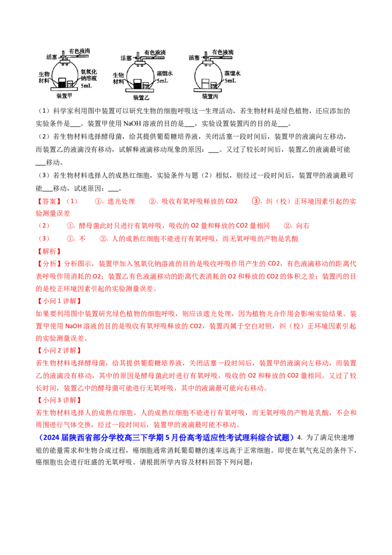 专题05光合作用与细胞呼吸-2024年高考真题和模拟题生物分类汇编（教师卷）_近10年高考真题汇编（必刷）_十年（2014-2024）高考生物真题分项汇编（全国通用）