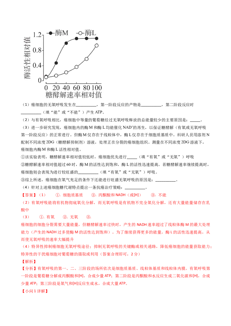 专题05光合作用与细胞呼吸-2024年高考真题和模拟题生物分类汇编（教师卷）_近10年高考真题汇编（必刷）_十年（2014-2024）高考生物真题分项汇编（全国通用）