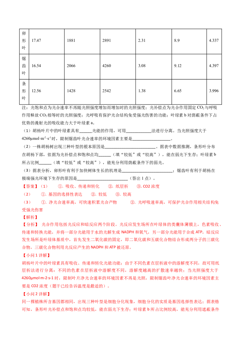 专题05光合作用与细胞呼吸-2024年高考真题和模拟题生物分类汇编（教师卷）_近10年高考真题汇编（必刷）_十年（2014-2024）高考生物真题分项汇编（全国通用）
