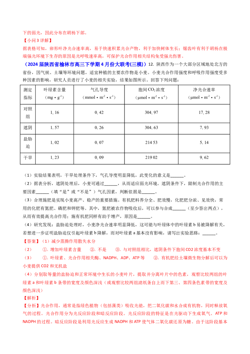 专题05光合作用与细胞呼吸-2024年高考真题和模拟题生物分类汇编（教师卷）_近10年高考真题汇编（必刷）_十年（2014-2024）高考生物真题分项汇编（全国通用）