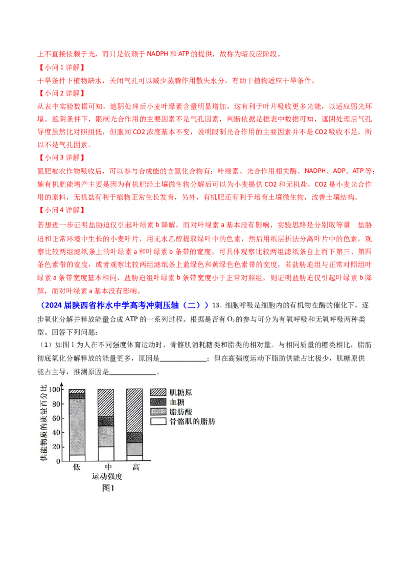 专题05光合作用与细胞呼吸-2024年高考真题和模拟题生物分类汇编（教师卷）_近10年高考真题汇编（必刷）_十年（2014-2024）高考生物真题分项汇编（全国通用）