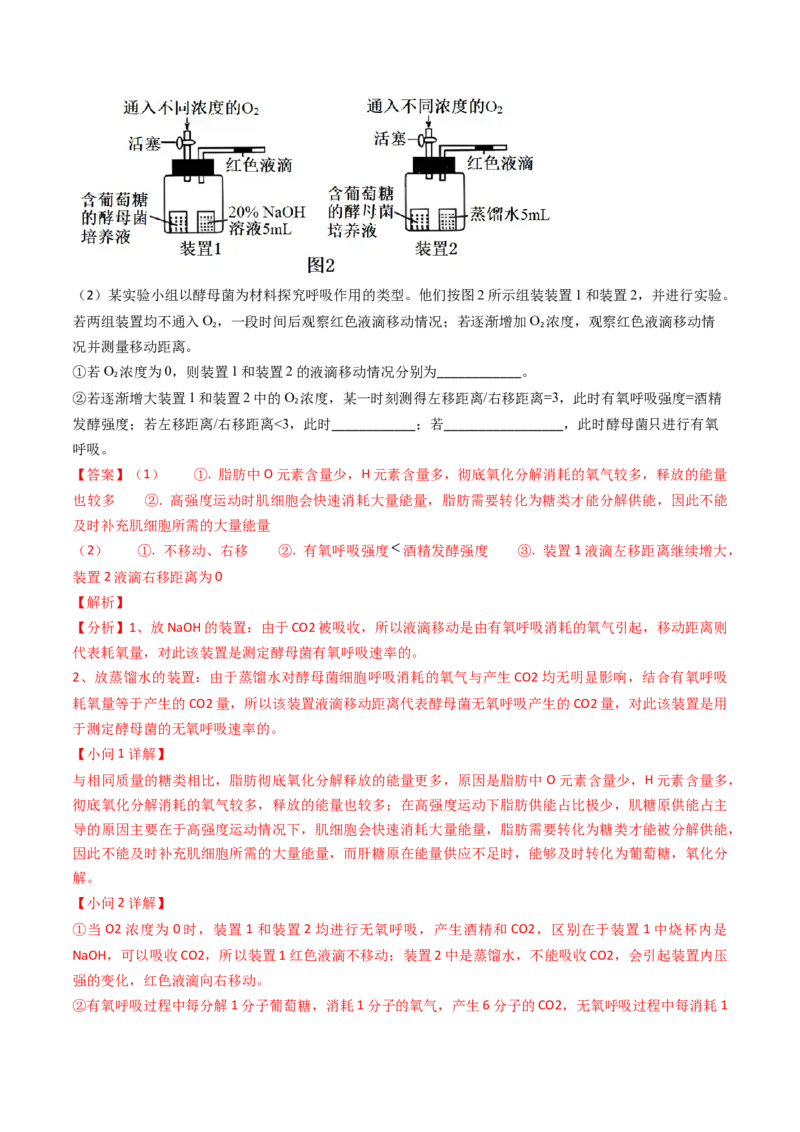 专题05光合作用与细胞呼吸-2024年高考真题和模拟题生物分类汇编（教师卷）_近10年高考真题汇编（必刷）_十年（2014-2024）高考生物真题分项汇编（全国通用）