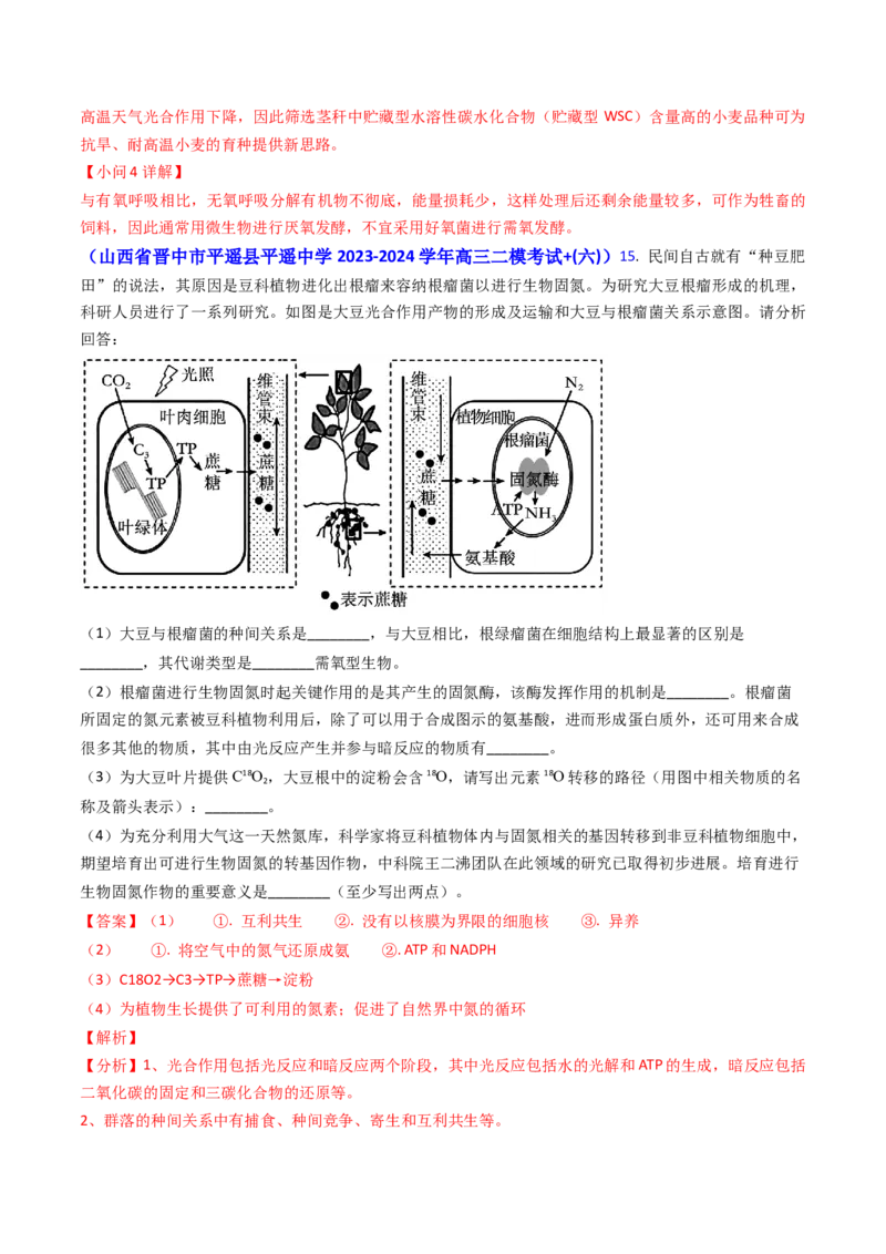 专题05光合作用与细胞呼吸-2024年高考真题和模拟题生物分类汇编（教师卷）_近10年高考真题汇编（必刷）_十年（2014-2024）高考生物真题分项汇编（全国通用）