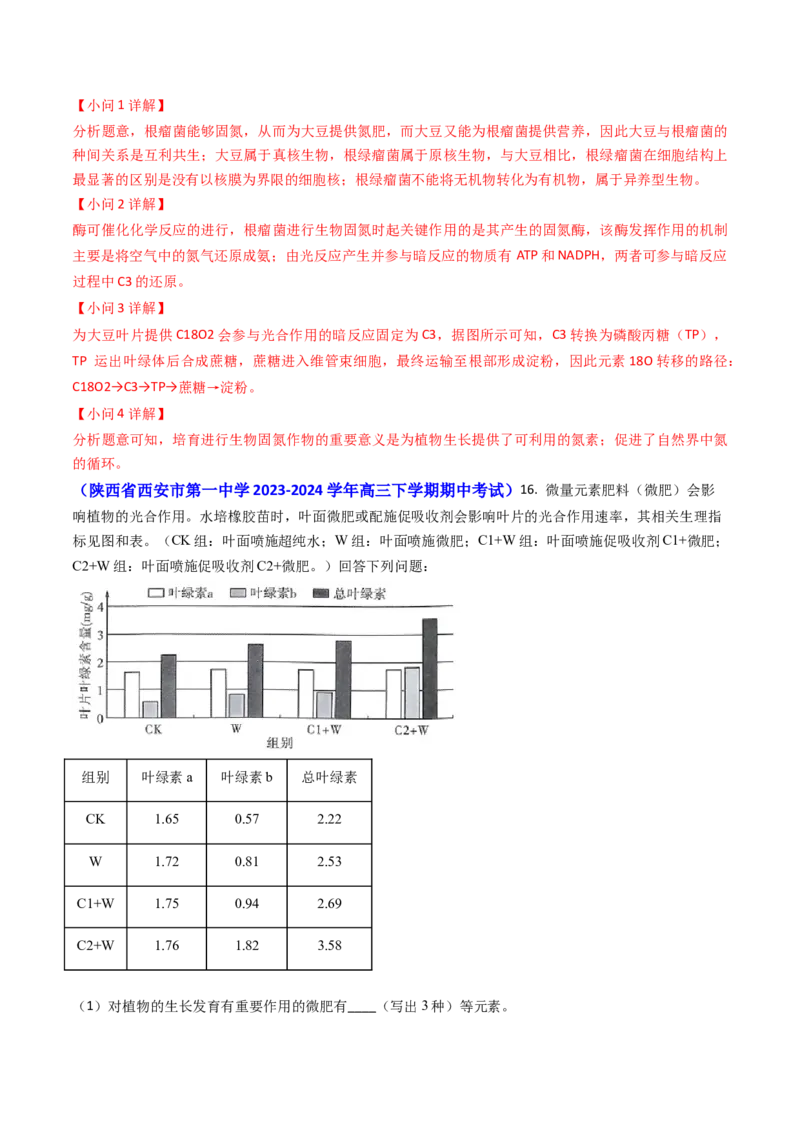 专题05光合作用与细胞呼吸-2024年高考真题和模拟题生物分类汇编（教师卷）_近10年高考真题汇编（必刷）_十年（2014-2024）高考生物真题分项汇编（全国通用）