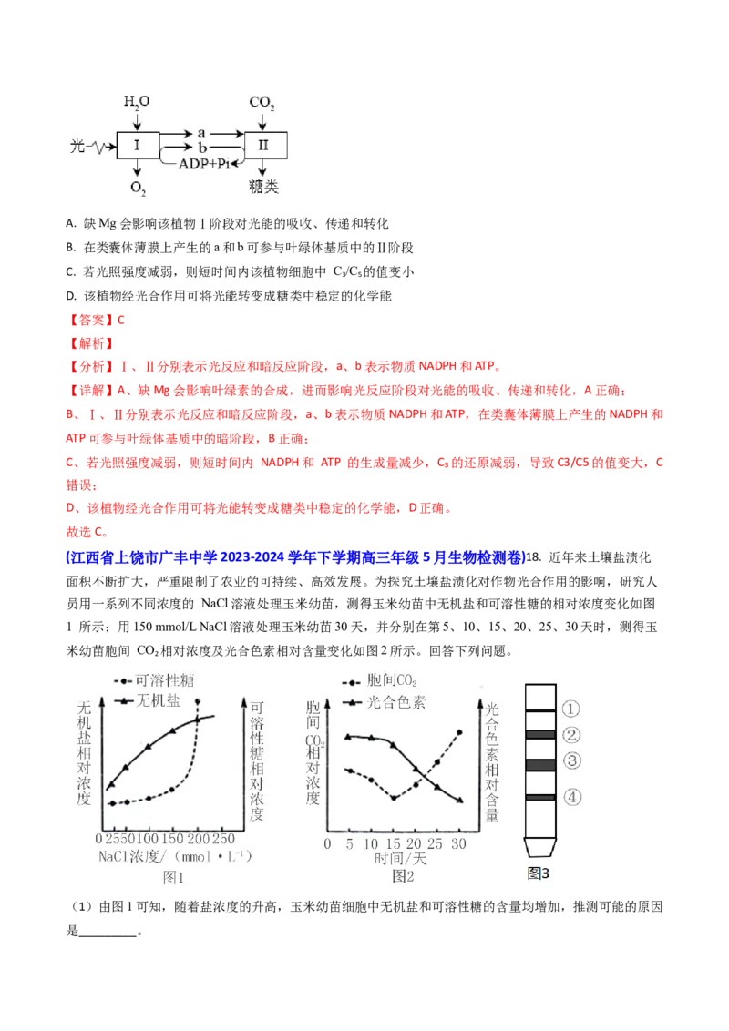 专题05光合作用与细胞呼吸-2024年高考真题和模拟题生物分类汇编（教师卷）_近10年高考真题汇编（必刷）_十年（2014-2024）高考生物真题分项汇编（全国通用）