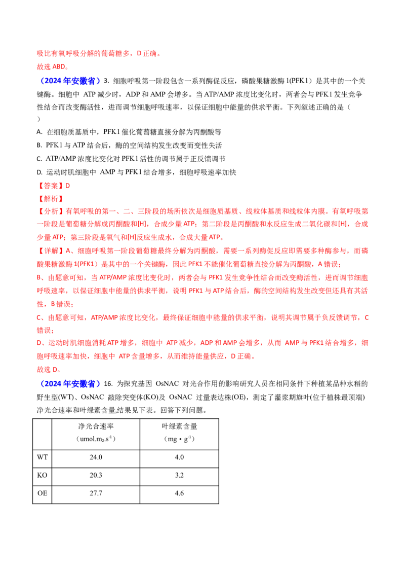 专题05光合作用与细胞呼吸-2024年高考真题和模拟题生物分类汇编（教师卷）_近10年高考真题汇编（必刷）_十年（2014-2024）高考生物真题分项汇编（全国通用）