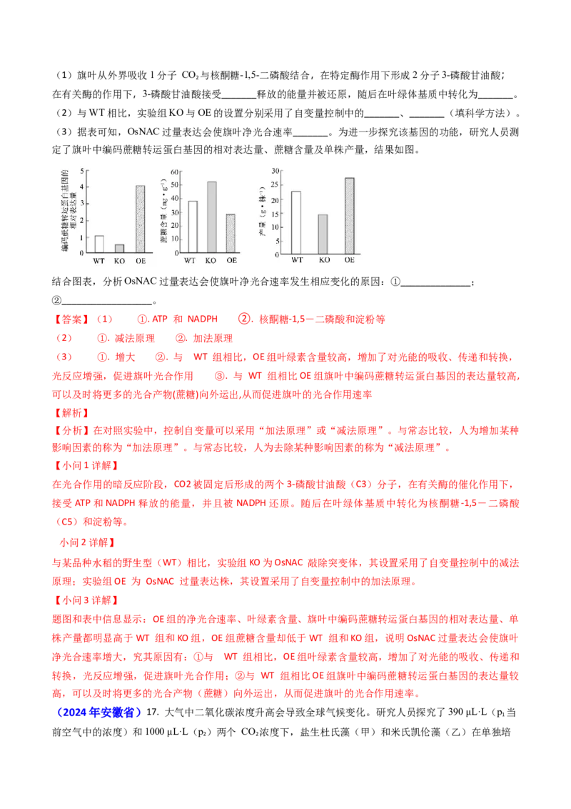 专题05光合作用与细胞呼吸-2024年高考真题和模拟题生物分类汇编（教师卷）_近10年高考真题汇编（必刷）_十年（2014-2024）高考生物真题分项汇编（全国通用）
