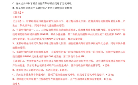 专题05光合作用与细胞呼吸-2024年高考真题和模拟题生物分类汇编（教师卷）_近10年高考真题汇编（必刷）_十年（2014-2024）高考生物真题分项汇编（全国通用）