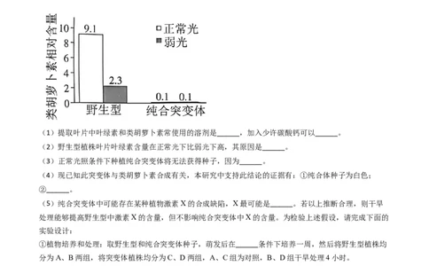 专题05光合作用与细胞呼吸-2024年高考真题和模拟题生物分类汇编（教师卷）_近10年高考真题汇编（必刷）_十年（2014-2024）高考生物真题分项汇编（全国通用）
