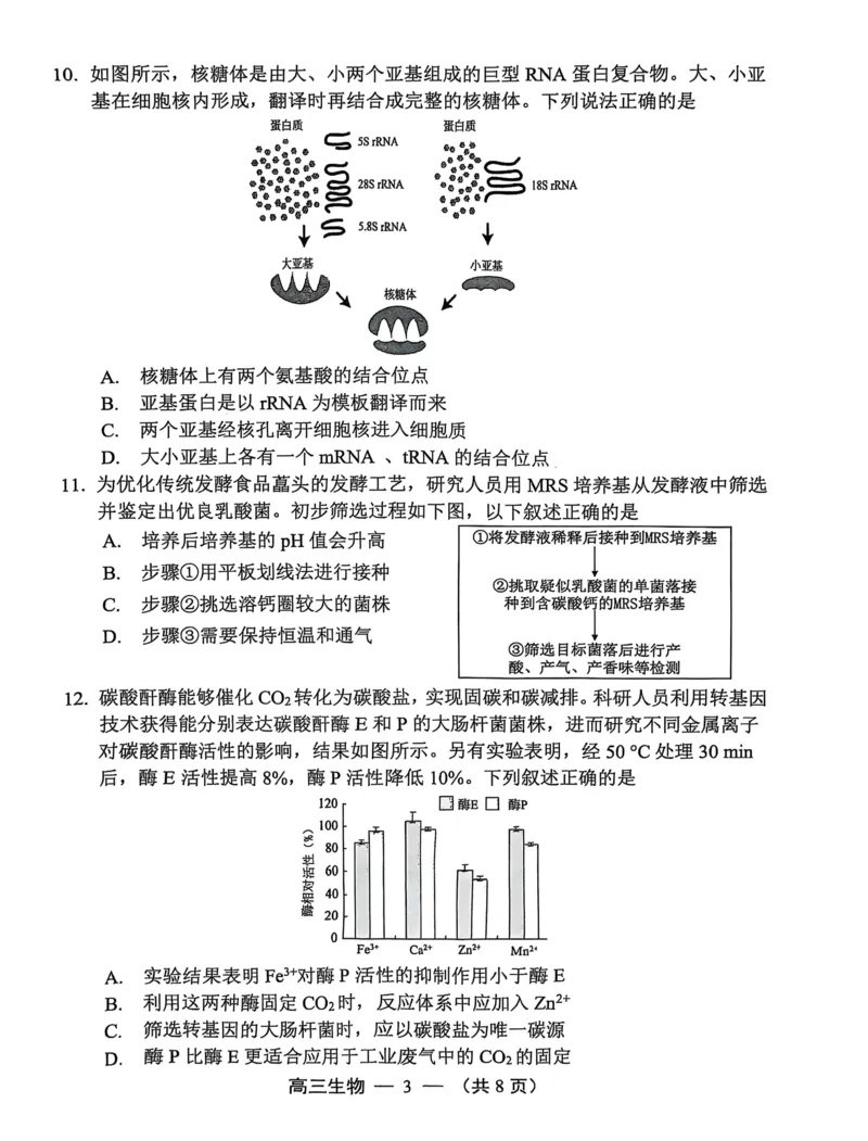 生物试卷2025-2026学年福州市高三年级第一次质量检测_2025年8月_250830福建省2025-2026学年福州市高三年级第一次质量检测（福州一检）（全科）