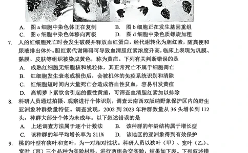 生物试卷2025-2026学年福州市高三年级第一次质量检测_2025年8月_250830福建省2025-2026学年福州市高三年级第一次质量检测（福州一检）（全科）
