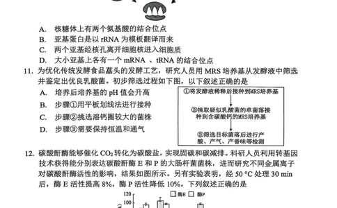 生物试卷2025-2026学年福州市高三年级第一次质量检测_2025年8月_250830福建省2025-2026学年福州市高三年级第一次质量检测（福州一检）（全科）
