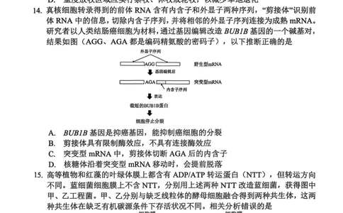 生物试卷2025-2026学年福州市高三年级第一次质量检测_2025年8月_250830福建省2025-2026学年福州市高三年级第一次质量检测（福州一检）（全科）