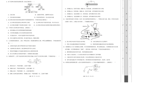 高二生物上学期第一次月考测试范围：人教版2019选择性必修1第1章~第2章（安徽专用）（考试版A3）_1多考区联考试卷_2510142025-2026学年高二生物上学期第一次月考试题