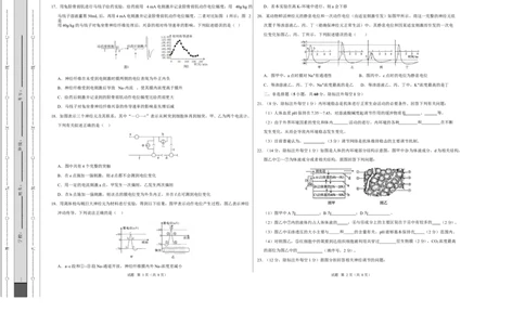 高二生物上学期第一次月考测试范围：人教版2019选择性必修1第1章~第2章（安徽专用）（考试版A3）_1多考区联考试卷_2510142025-2026学年高二生物上学期第一次月考试题