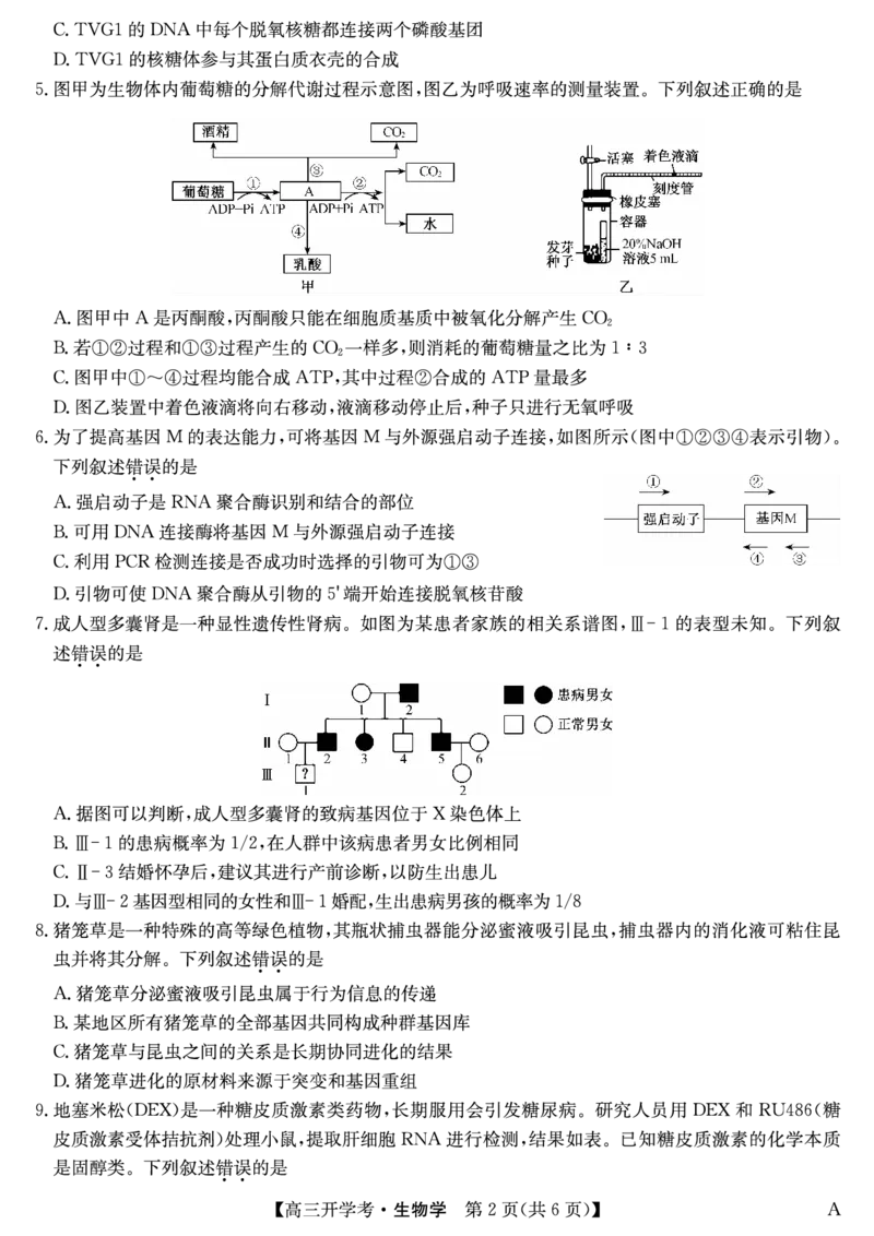 生物（A）-安徽省九师联盟2026届高三9月开学联考_2025年9月_250914安徽省九师联盟2026届高三9月开学联考（全科）