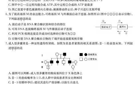 生物（A）-安徽省九师联盟2026届高三9月开学联考_2025年9月_250914安徽省九师联盟2026届高三9月开学联考（全科）