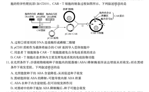 生物（A）-安徽省九师联盟2026届高三9月开学联考_2025年9月_250914安徽省九师联盟2026届高三9月开学联考（全科）