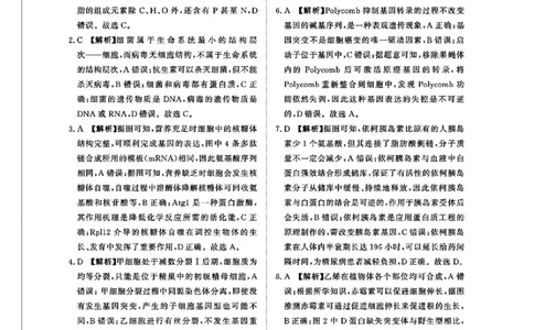 生物答案_2025年5月_2505112025届高三下学期5月青桐鸣大联考_2025届高三下学期5月青桐鸣大联考生物