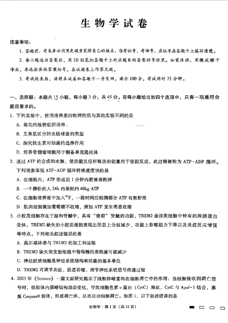 重庆市第八中学2025届高三3月适应性月考卷（六）生物_2025年3月_250323重庆市第八中学2025届高三3月适应性月考卷（六）（全科）