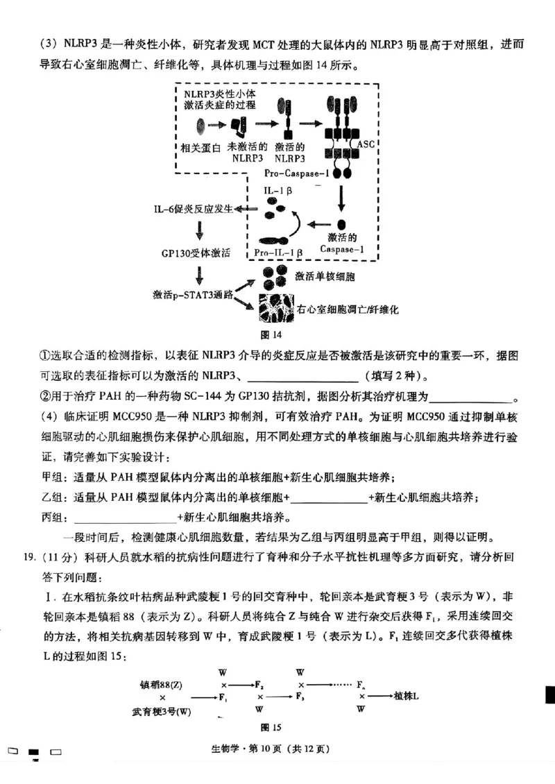 重庆市第八中学2025届高三3月适应性月考卷（六）生物_2025年3月_250323重庆市第八中学2025届高三3月适应性月考卷（六）（全科）