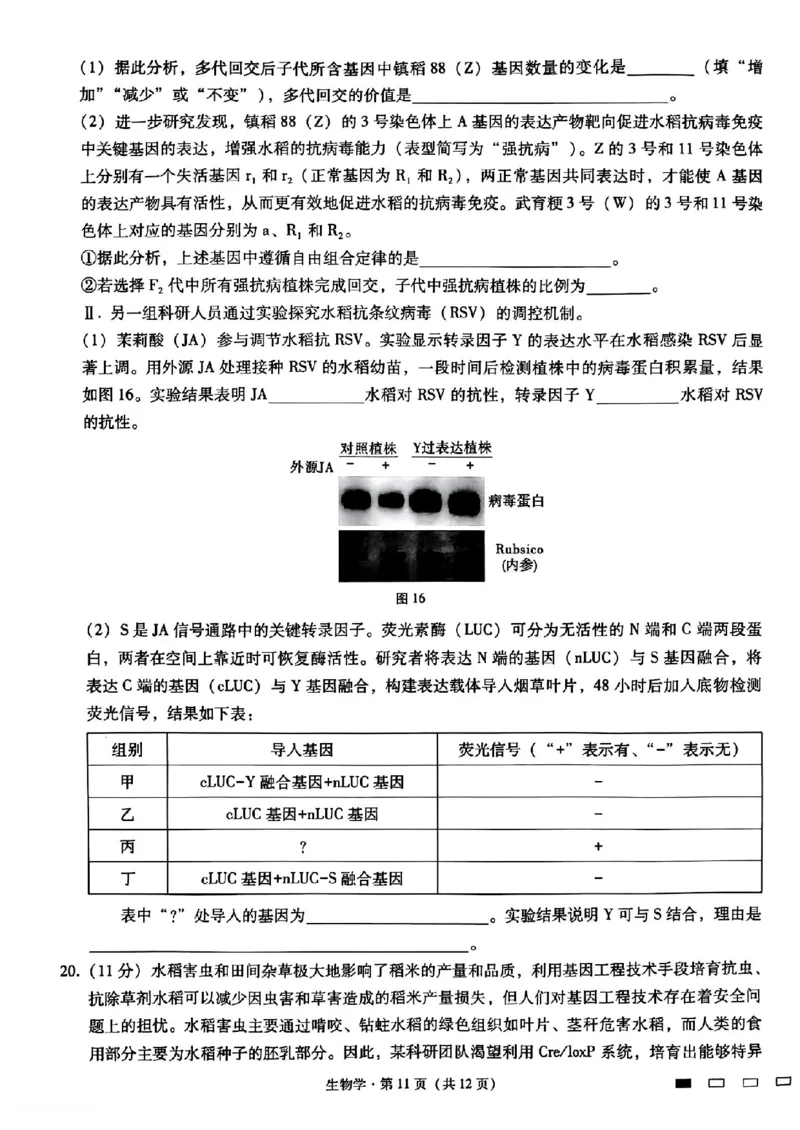 重庆市第八中学2025届高三3月适应性月考卷（六）生物_2025年3月_250323重庆市第八中学2025届高三3月适应性月考卷（六）（全科）