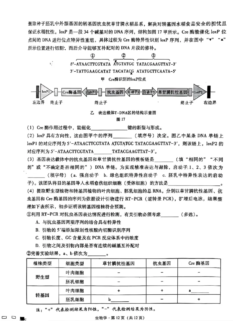 重庆市第八中学2025届高三3月适应性月考卷（六）生物_2025年3月_250323重庆市第八中学2025届高三3月适应性月考卷（六）（全科）
