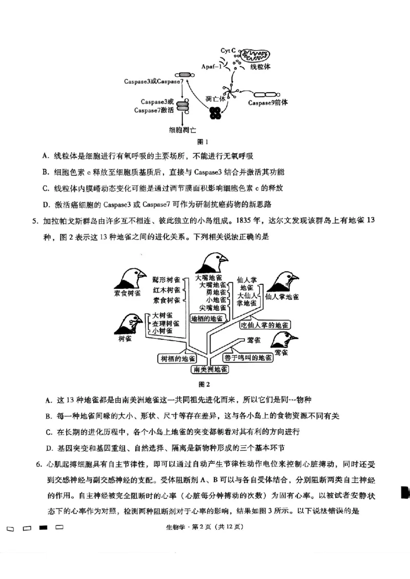 重庆市第八中学2025届高三3月适应性月考卷（六）生物_2025年3月_250323重庆市第八中学2025届高三3月适应性月考卷（六）（全科）