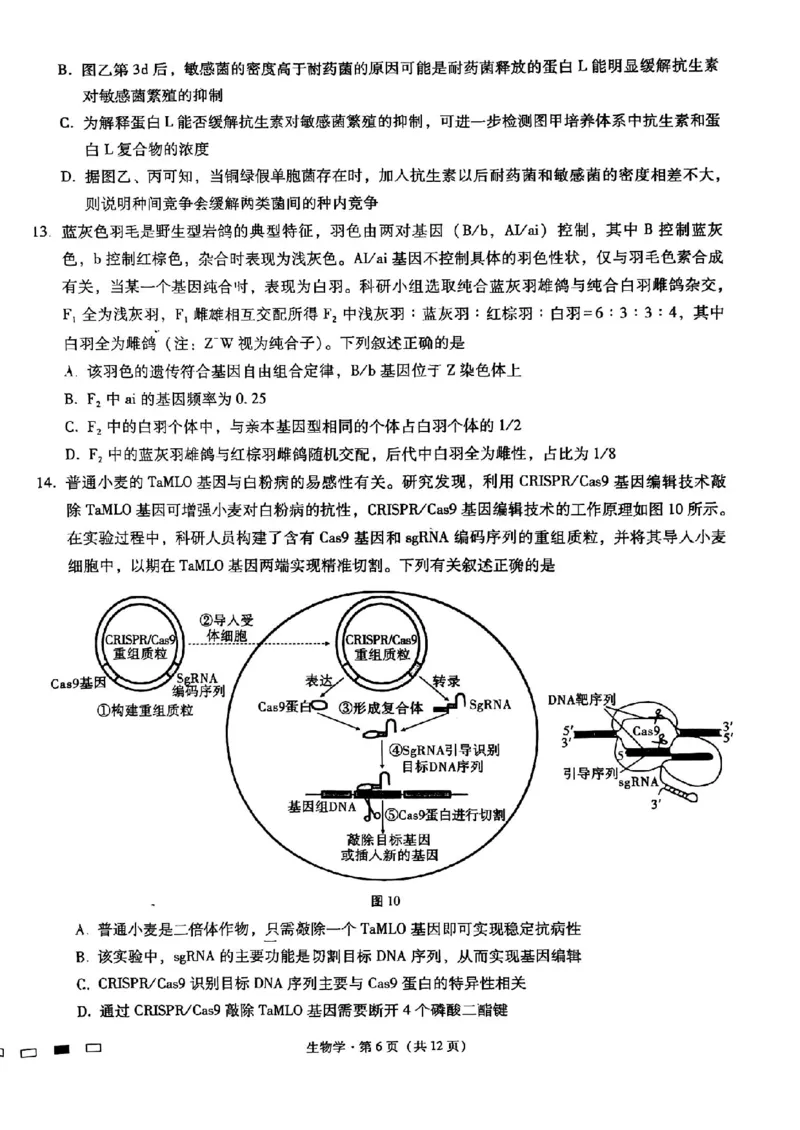 重庆市第八中学2025届高三3月适应性月考卷（六）生物_2025年3月_250323重庆市第八中学2025届高三3月适应性月考卷（六）（全科）