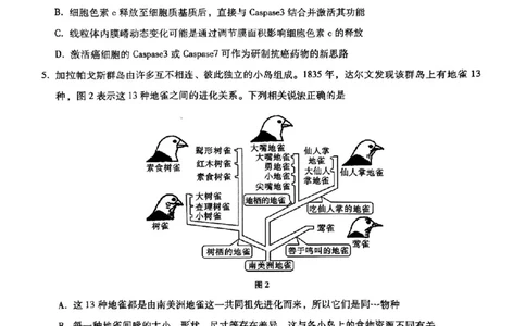 重庆市第八中学2025届高三3月适应性月考卷（六）生物_2025年3月_250323重庆市第八中学2025届高三3月适应性月考卷（六）（全科）
