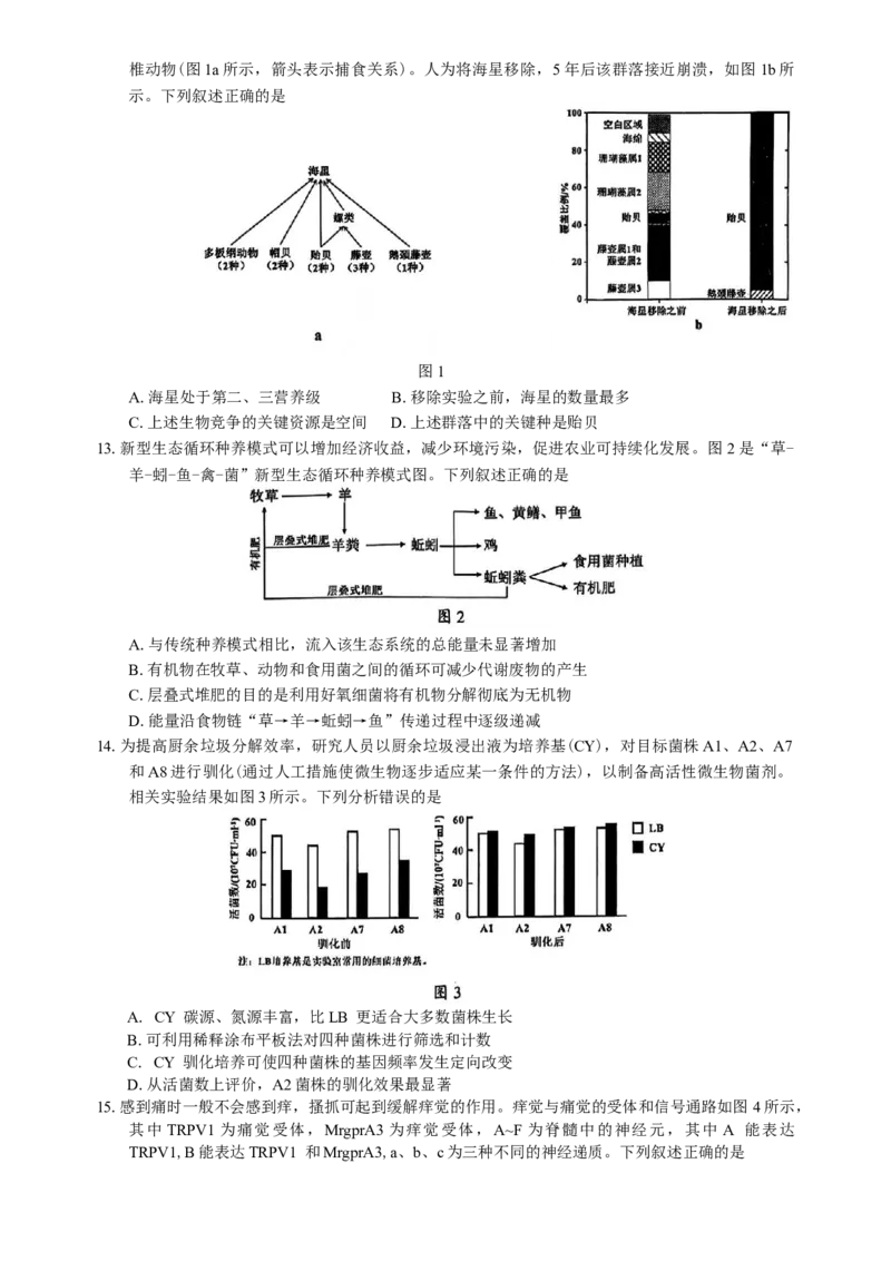 广东省佛山市2024-2025学年普通高中教学质量检测(二)高三生物学试题（含解析）_2025年4月_250419广东省佛山市2025届高三下学期教学质量检测（二）（全科）