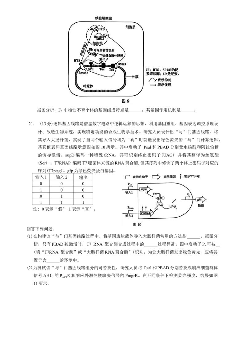 广东省佛山市2024-2025学年普通高中教学质量检测(二)高三生物学试题（含解析）_2025年4月_250419广东省佛山市2025届高三下学期教学质量检测（二）（全科）
