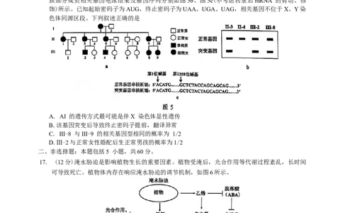 广东省佛山市2024-2025学年普通高中教学质量检测(二)高三生物学试题（含解析）_2025年4月_250419广东省佛山市2025届高三下学期教学质量检测（二）（全科）
