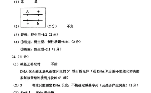 苏州高三期末生物答案_2025年1月_250115江苏省苏州市2024-2025学年高三上学期1月期末（全科）_江苏省苏州市2024-2025学年高三上学期学业质量阳光指标调研生物