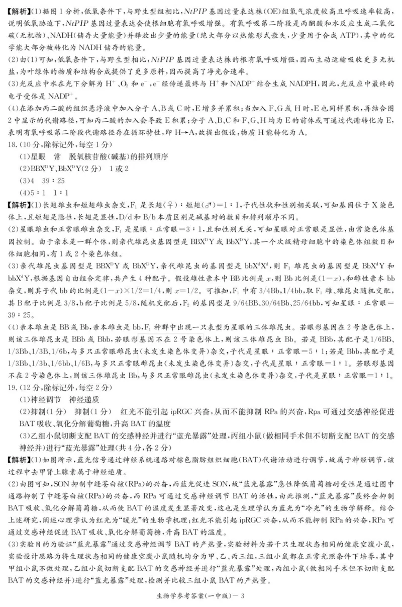 生物答案（26月考二Y）_2025年10月_251007湖南省长沙市第一中学2025-2026学年高三上学期月考（二）_湖南省长沙市第一中学2025-2026学年高三上学期月考（二）生物试题（扫描版，有解析）
