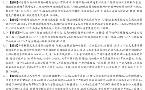 生物答案（26月考二Y）_2025年10月_251007湖南省长沙市第一中学2025-2026学年高三上学期月考（二）_湖南省长沙市第一中学2025-2026学年高三上学期月考（二）生物试题（扫描版，有解析）