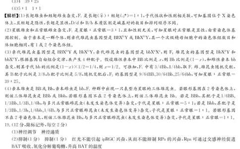 生物答案（26月考二Y）_2025年10月_251007湖南省长沙市第一中学2025-2026学年高三上学期月考（二）_湖南省长沙市第一中学2025-2026学年高三上学期月考（二）生物试题（扫描版，有解析）